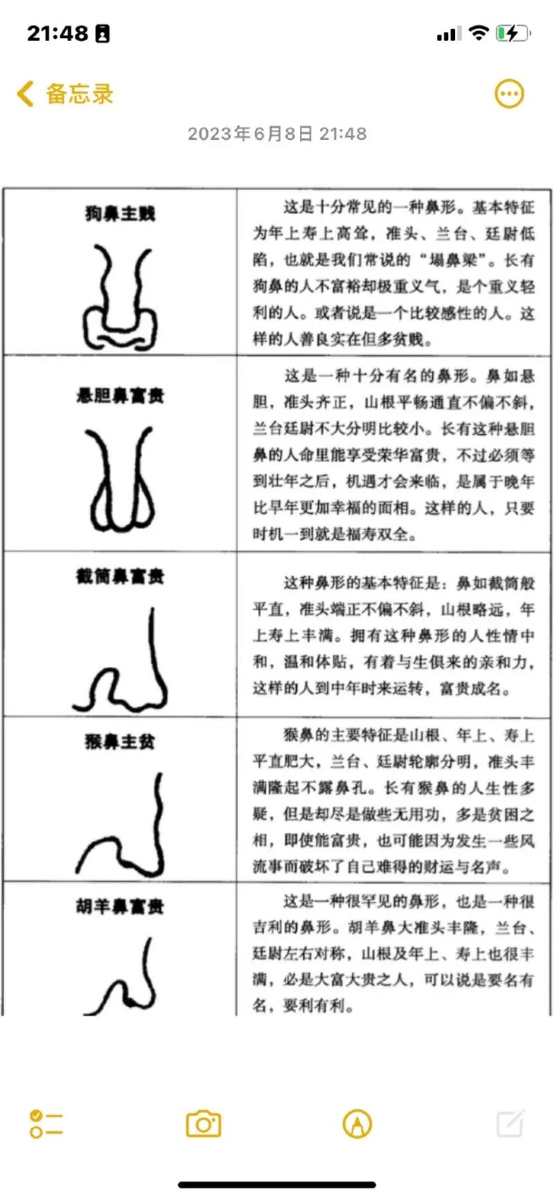 鼻子代表什么运势