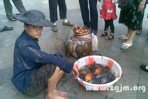 梦见卖鱼摊是什么意思