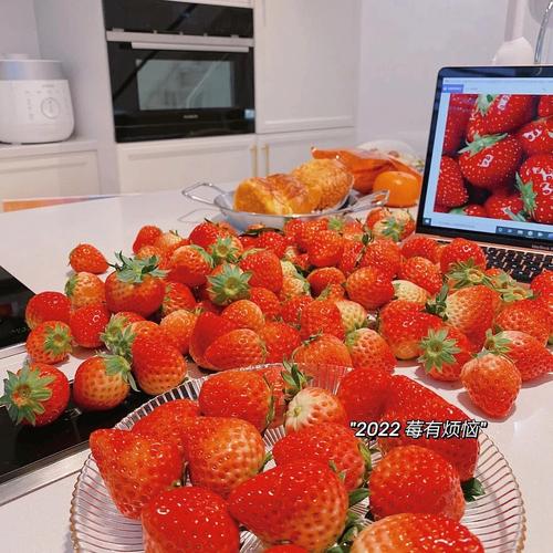 2021年除夕出生的宝宝什么时辰最好