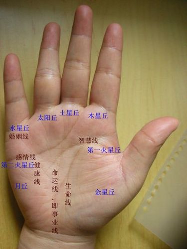 教你看手相 什么手相的人一生难有积蓄