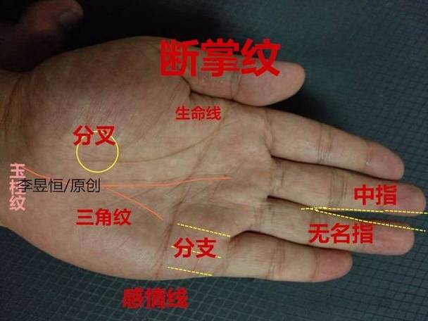手相学——断掌