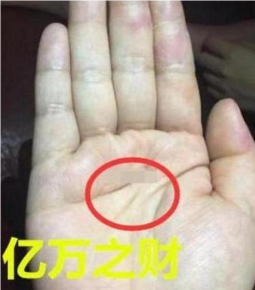 百分之百巨富手相