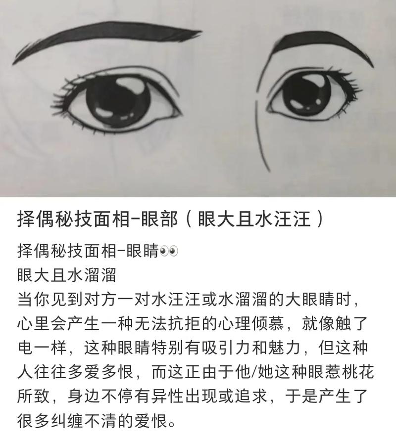 看面相的基本知识