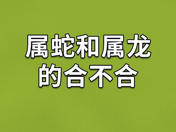 属蛇爱上属龙人的可能性有多大