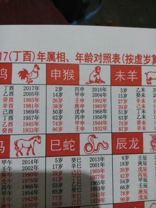 属猴人和其他十二生肖的关系
