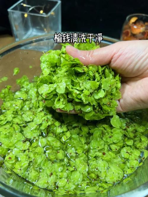 梦见吃窝头是什么意思