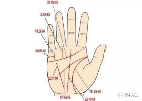 手相看哪些人理财有道