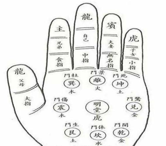 手相十二宫是怎么划分的,十二宫代表什么