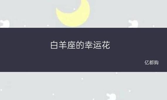 白羊座男生喜欢什么花