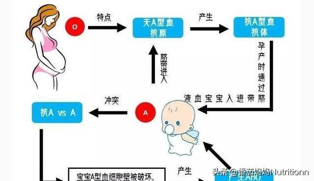 什么是溶血病