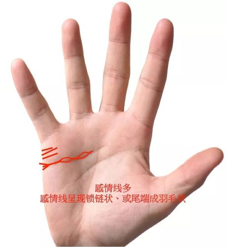 女人感情线像铁链手相详解