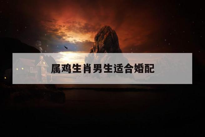 男人属鸡的最佳婚配
