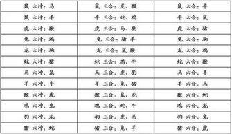 属猪的六个合贵人是什么
