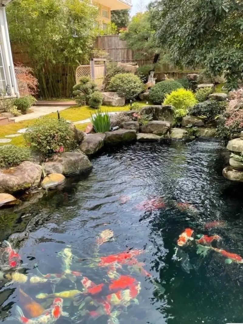 为何庭院中要建造水景?