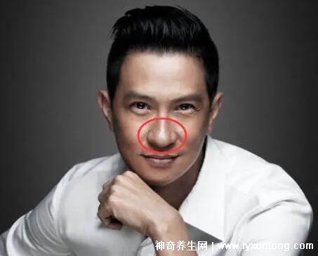 蒜头鼻不是商人面相