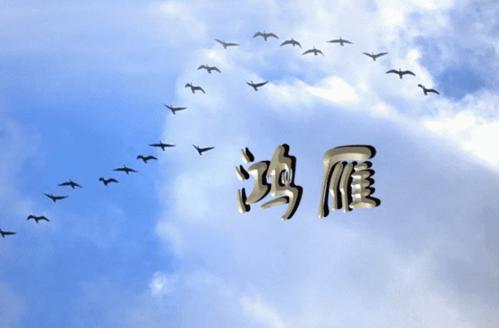 梦见鸿雁 梦见鸿雁在天上飞