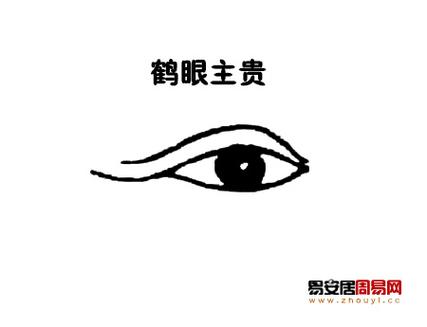 鹤眼是什么样的