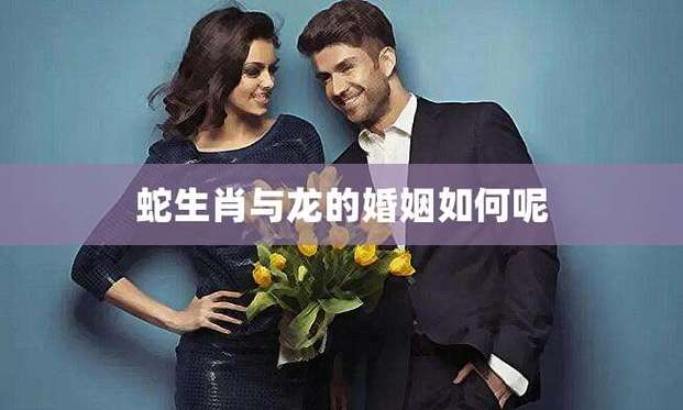生肖龙和生肖蛇的人婚姻好不好呢?