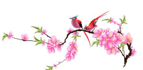 五行缺土的人2019年的桃花运如何