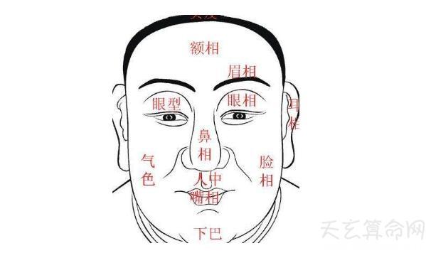 虎鼻面相图片解析