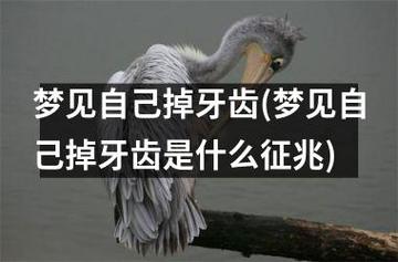 梦见自己的牙掉了两颗是什么意思