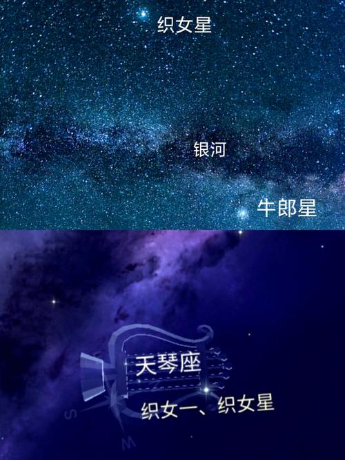 星座所主与断式口诀_白虎