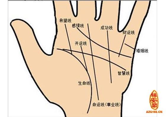 图解:男人看相看哪只手