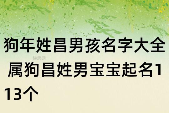 昌姓男孩名字好听