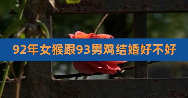 女鸡男猴结婚会离婚吗