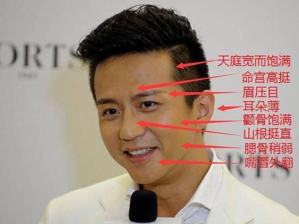 面相山根折断的明星有哪些