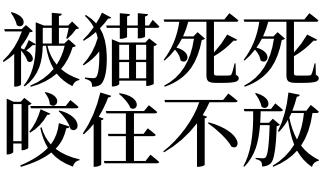 孕妇梦见被猫咬住不放是啥意思
