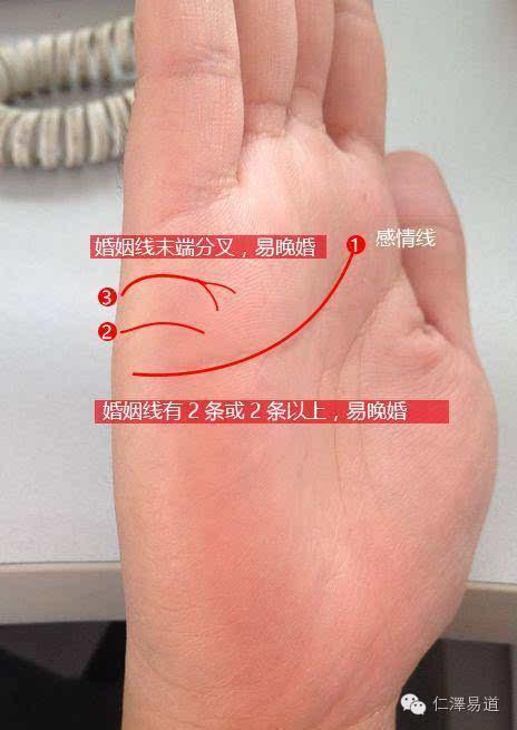 女人右手掌纹两条线图解