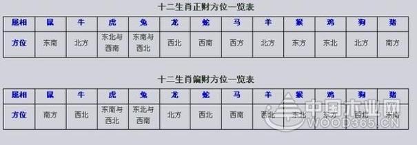 生肖属狗的客厅财位在哪里