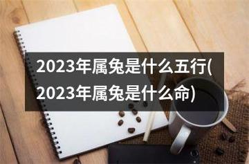 属兔五行属什么命