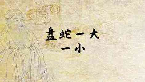 梦见两条蛇一大一小