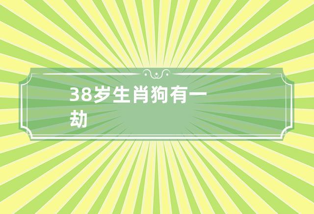 38岁生肖狗有一劫,怎样破解这一劫