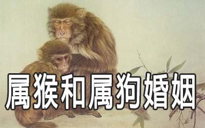 2006年属狗女孩姻缘在哪一年
