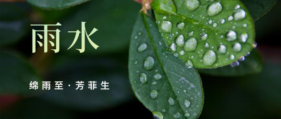雨水是什么意思呢