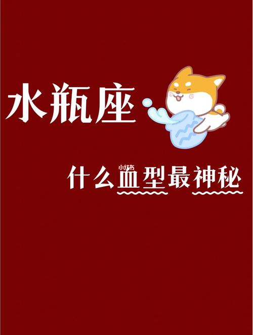 水瓶座A血型女属马的性格