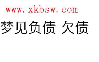 梦见负债 欠债是什么意思