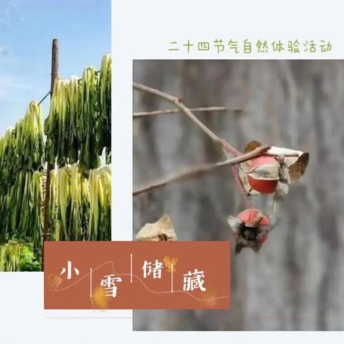 小雪来临的农事活动有哪些?囤粮乃首要大事