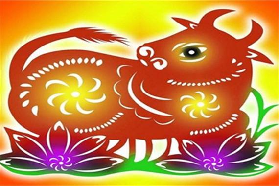 牛年哪个属相运势最佳
