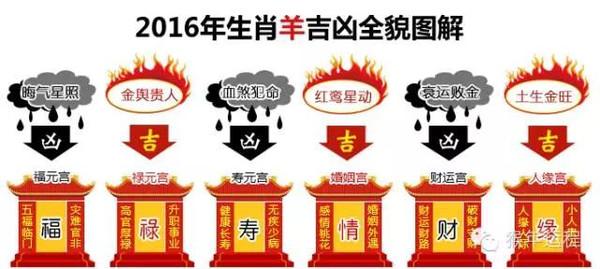 十二生肖今年的大事提醒