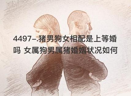 男猪女狗相旺吗