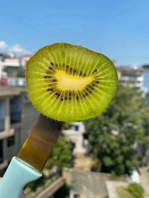 奇异果测你能承受多少压力