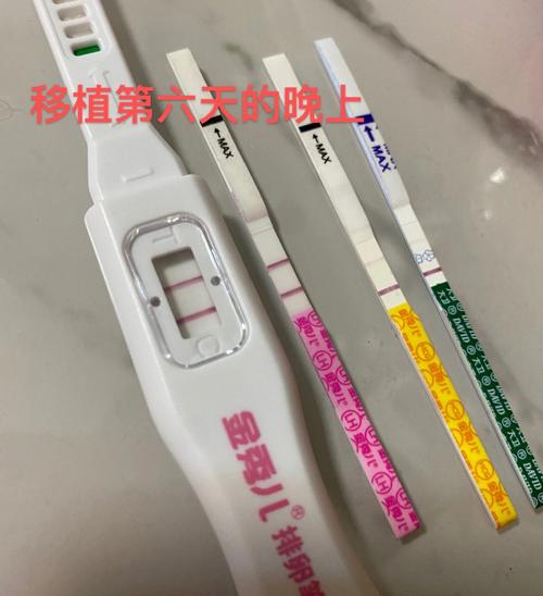 测你肚子里装了多少“碎牙”,太难了!