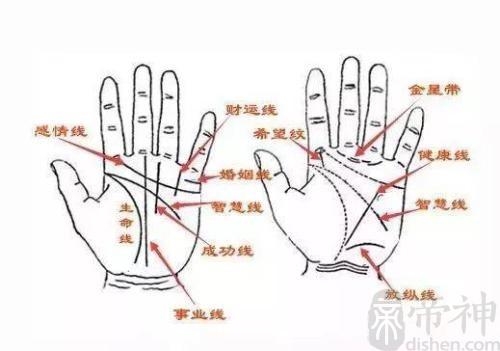 成功线的表示意义