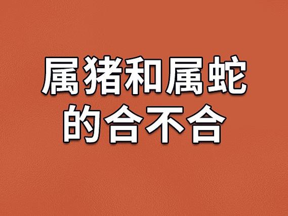 蛇和猪的属相合不合