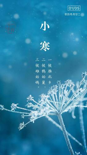 2020庚子年小寒节气十一月二十二日出生的女孩怎么起名？