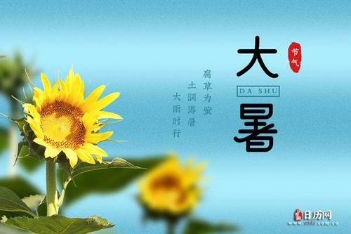 2021年大暑出生的女宝宝好不好